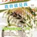 20110530BlossomJune.jpg
